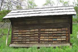 Čebelarstvo in čebelarjenje - terminologija