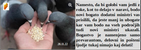 Slovenski in svetovni politični hlev na dan 28.11.22