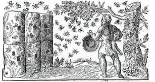 Europe - History of HoneyBees