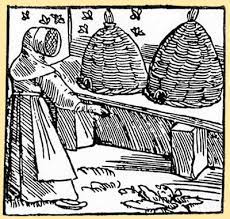 Bees That Saved America - Beverly Bees