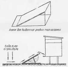 Taranov, Taranova deska, Taranov umetni roj