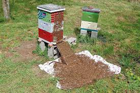 Details of the Taranov split - Honey Bee Suite