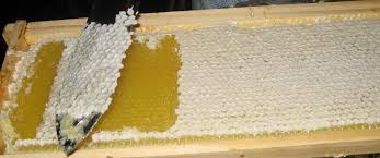 Seabee Honey-Beeswax - SEABEE HONEY