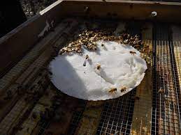 When to Start Winter Bee Feeding &mdash; Home Sweet Bees