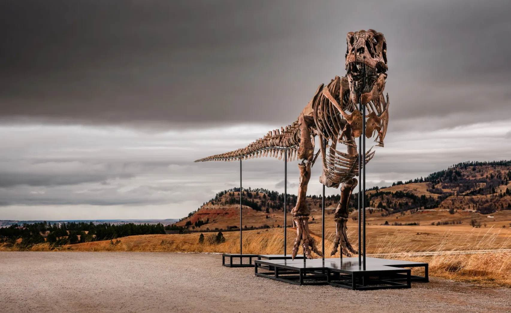 Kostur dinosaurusa prodat za nevjerovatnih 50 miliona dolara