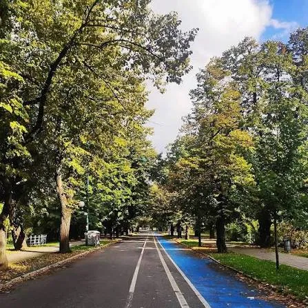 Zbog održavanja utrke izmjene saobraćaja u dijelu Sarajeva od 17:30 do 19:30