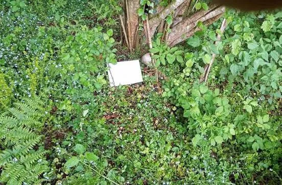 Na Kameničkom brdu ponovo pronađeni posmrtni ostaci žrtava genocida u Srebrenici