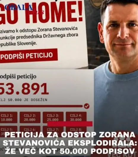 Stran sumljivo sporne peticije Stevo go home. (Foto: Posnetek zaslona-Obalaplus)