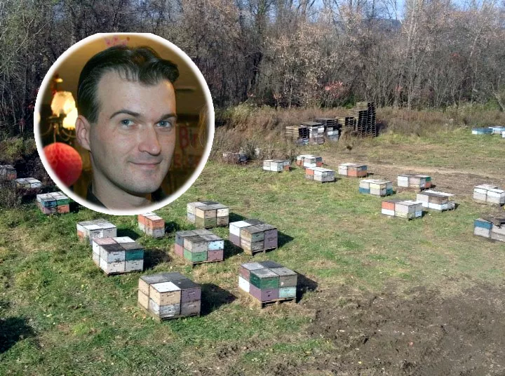 Četiri Bosanca iz Velike Kladuše upravljaju najvećim pčelinjakom u New ...