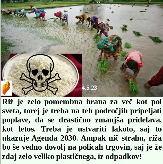 Slovenski in svetovni politični hlev na dan 4.5.23