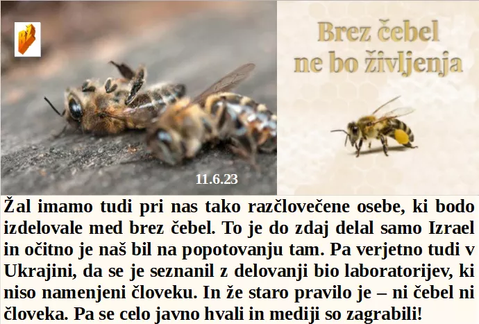 Slovenski in svetovni politični hlev na dan 11.6.23