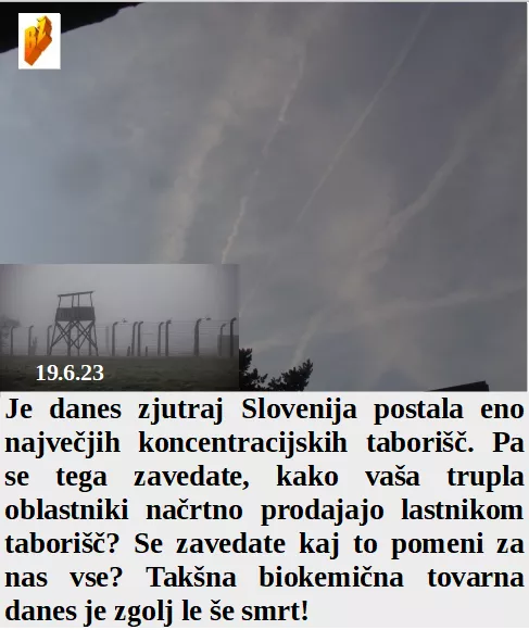 Slovenski in svetovni politični hlev na dan 19.6.23