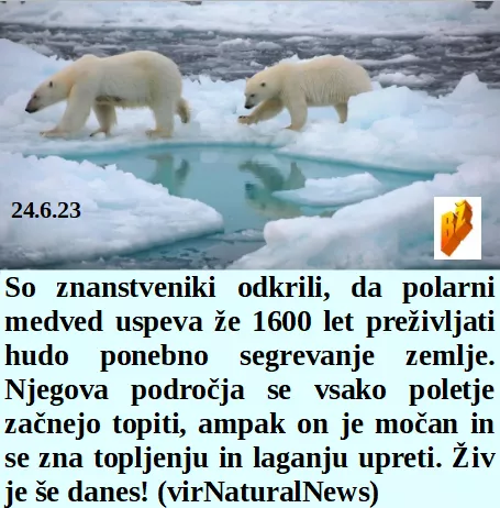 Slovenski in svetovni politični hlev na dan 24.6.23