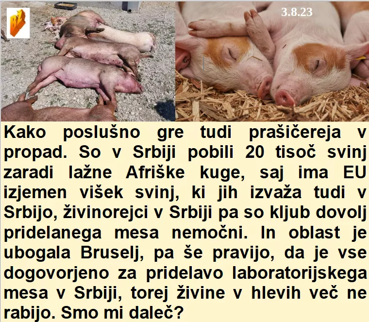 Slovenski in svetovni politični hlev na dan 3.8.23