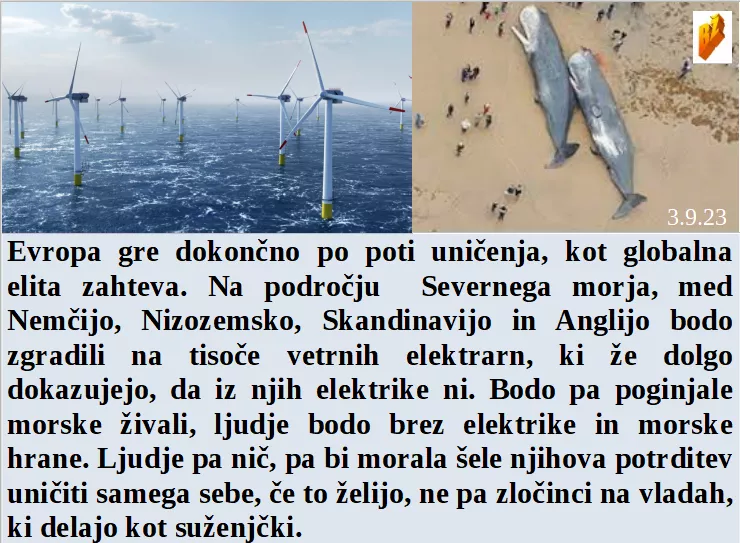 Slovenski in svetovni politični hlev na dan 3.9.23