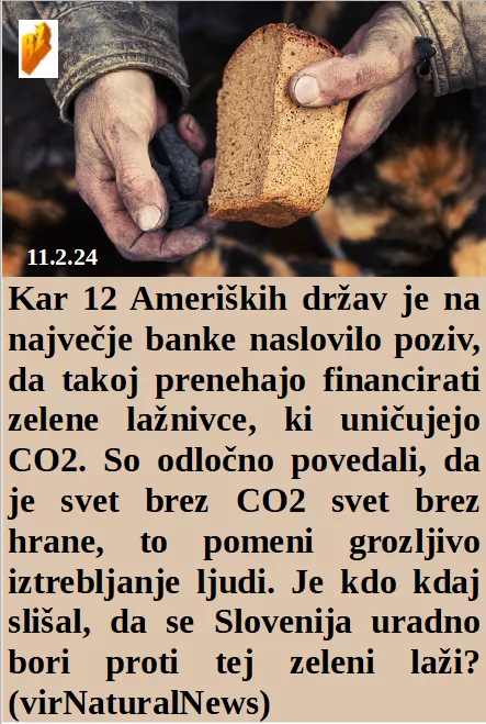 Slovenski in svetovni politični hlev na dan 11.2.24
