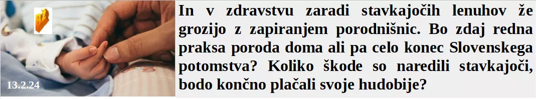 Slovenski in svetovni politični hlev na dan 13.2.24