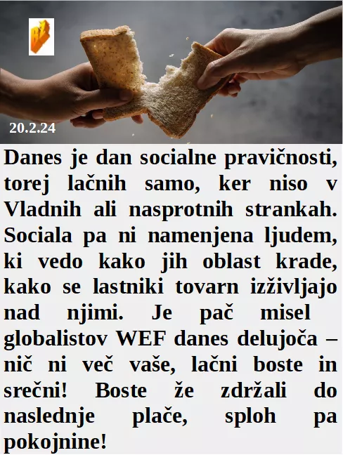 Slovenski in svetovni politični hlev na dan 20.2.24