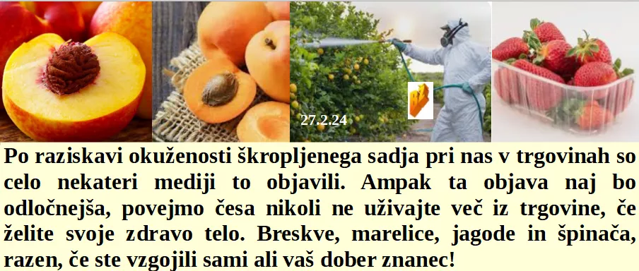 Slovenski in svetovni politični hlev na dan 27.2.24