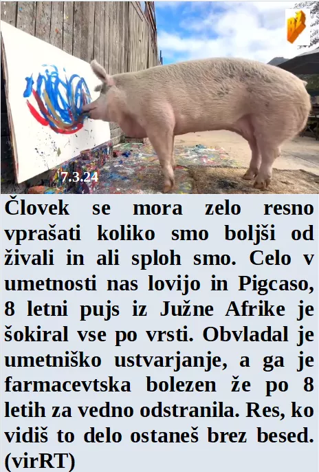 Slovenski in svetovni politični hlev na dan 7.3.24