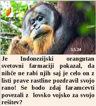 Slovenski in svetovni politični hlev na dan 3.5.24