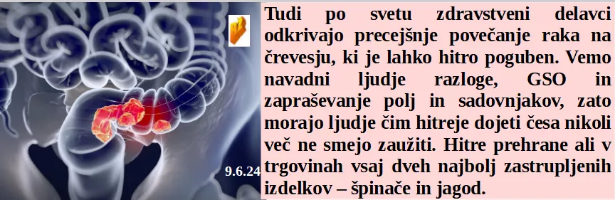 Slovenski in svetovni politični hlev na dan 9.6.24