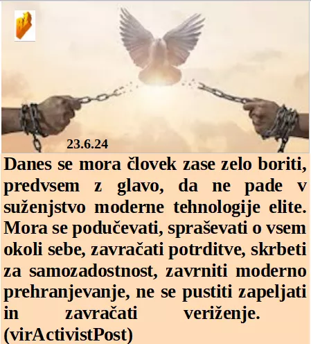 Slovenski in svetovni politični hlev na dan 23.6.24