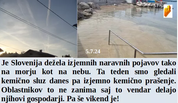 Slovenski in svetovni politični hlev na dan 5.7.24