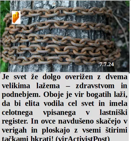 Slovenski in svetovni politični hlev na dan 7.7.24