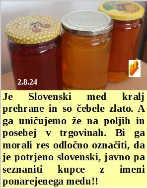 Slovenski in svetovni politični hlev na dan 2.8.24