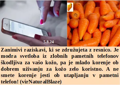 Slovenski in svetovni politični hlev na dan 5.8.24