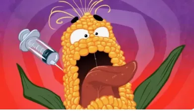 GSO hrano bodo tujci nadzirali v svoji lasti