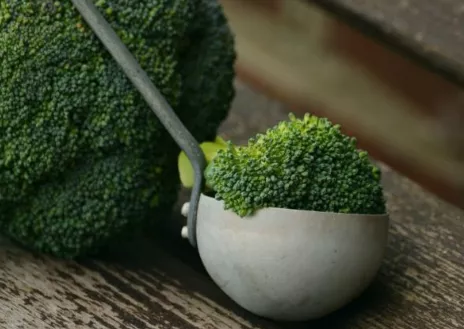 Brokoli zaklad zdravja