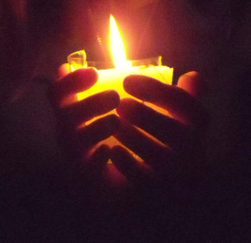 Slovensko ljudstvo ne sme odločati o izstopu Slovenije iz Svetovne zdravstvene organizacije