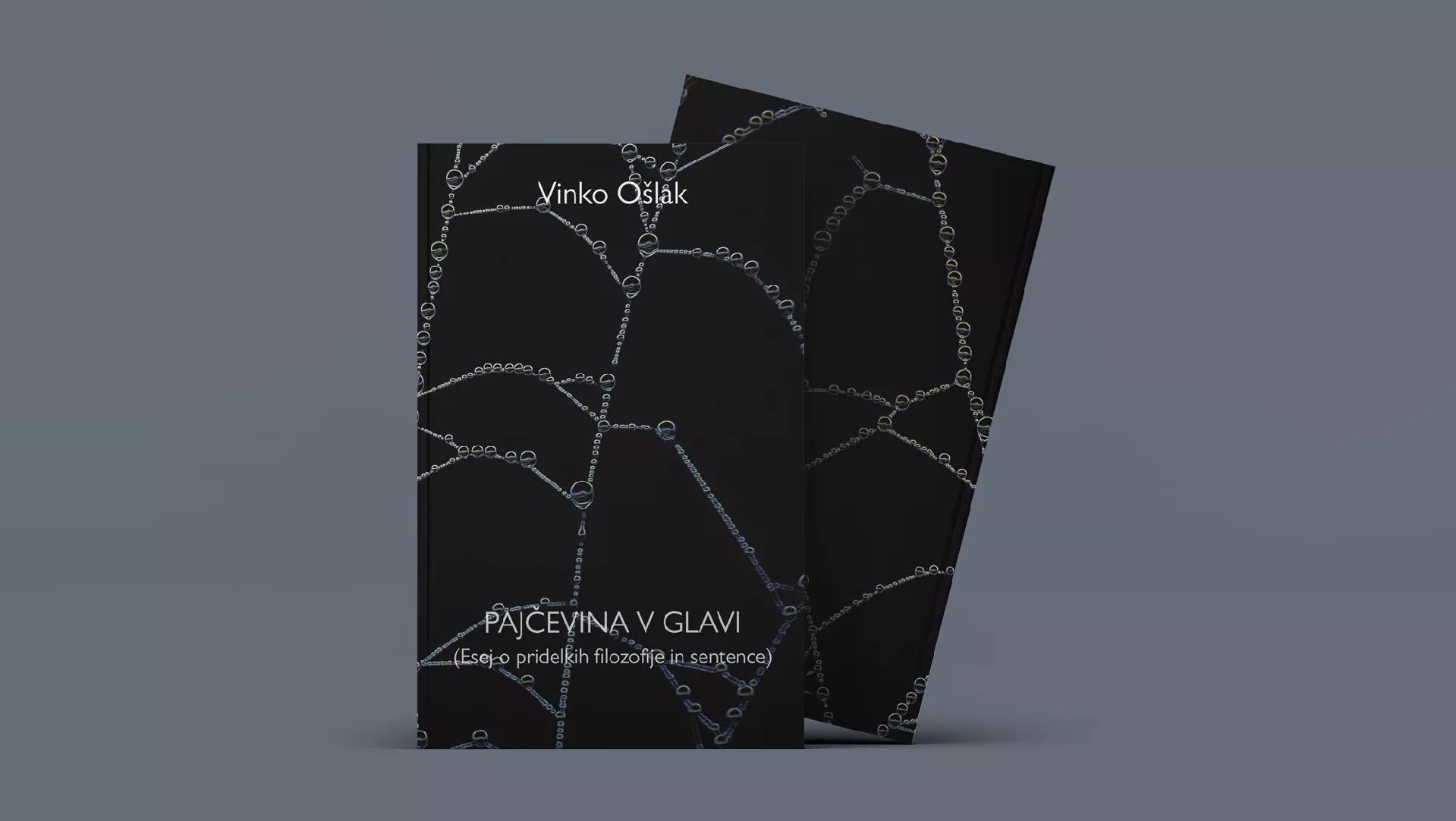 Vinko Ošlak: Pajčevina v glavi : esej o pridelkih filozofije in sentence