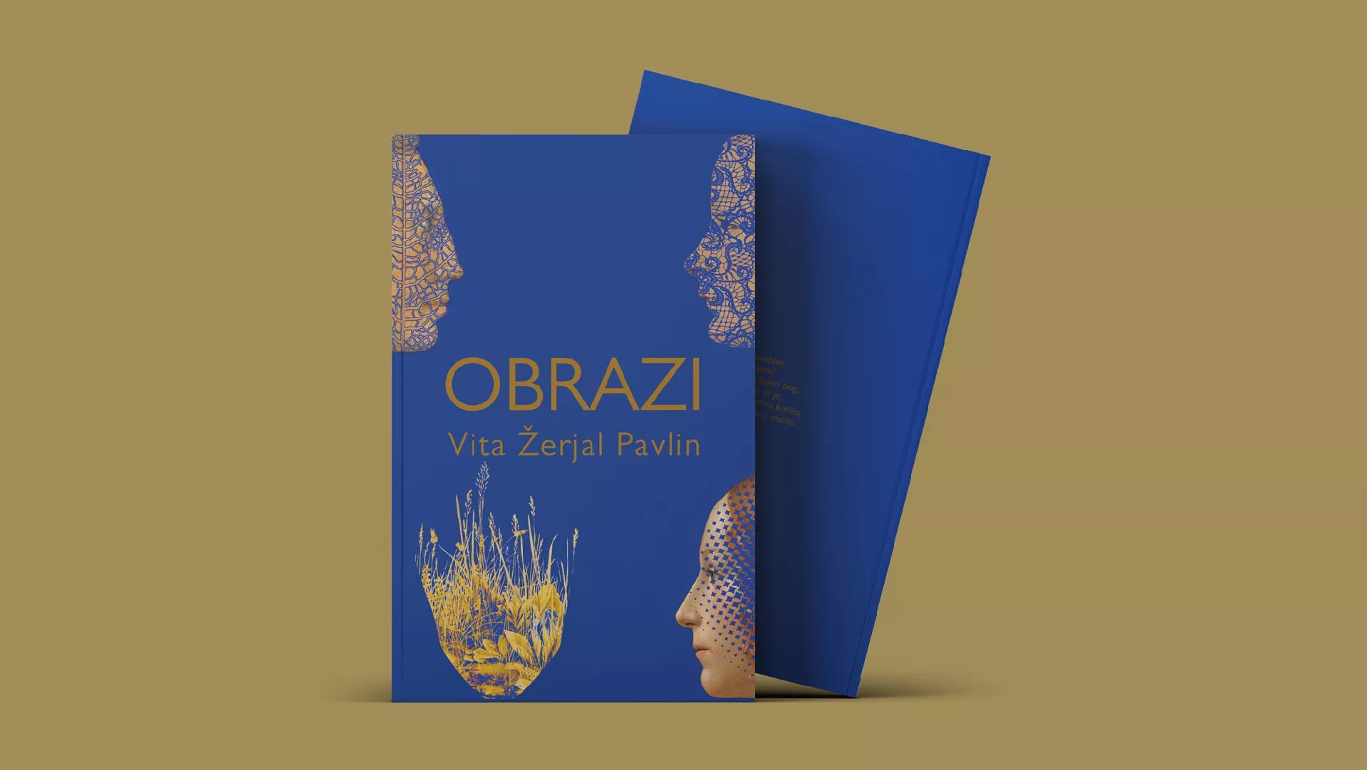 Vita Žerjal Pavlin: Obrazi