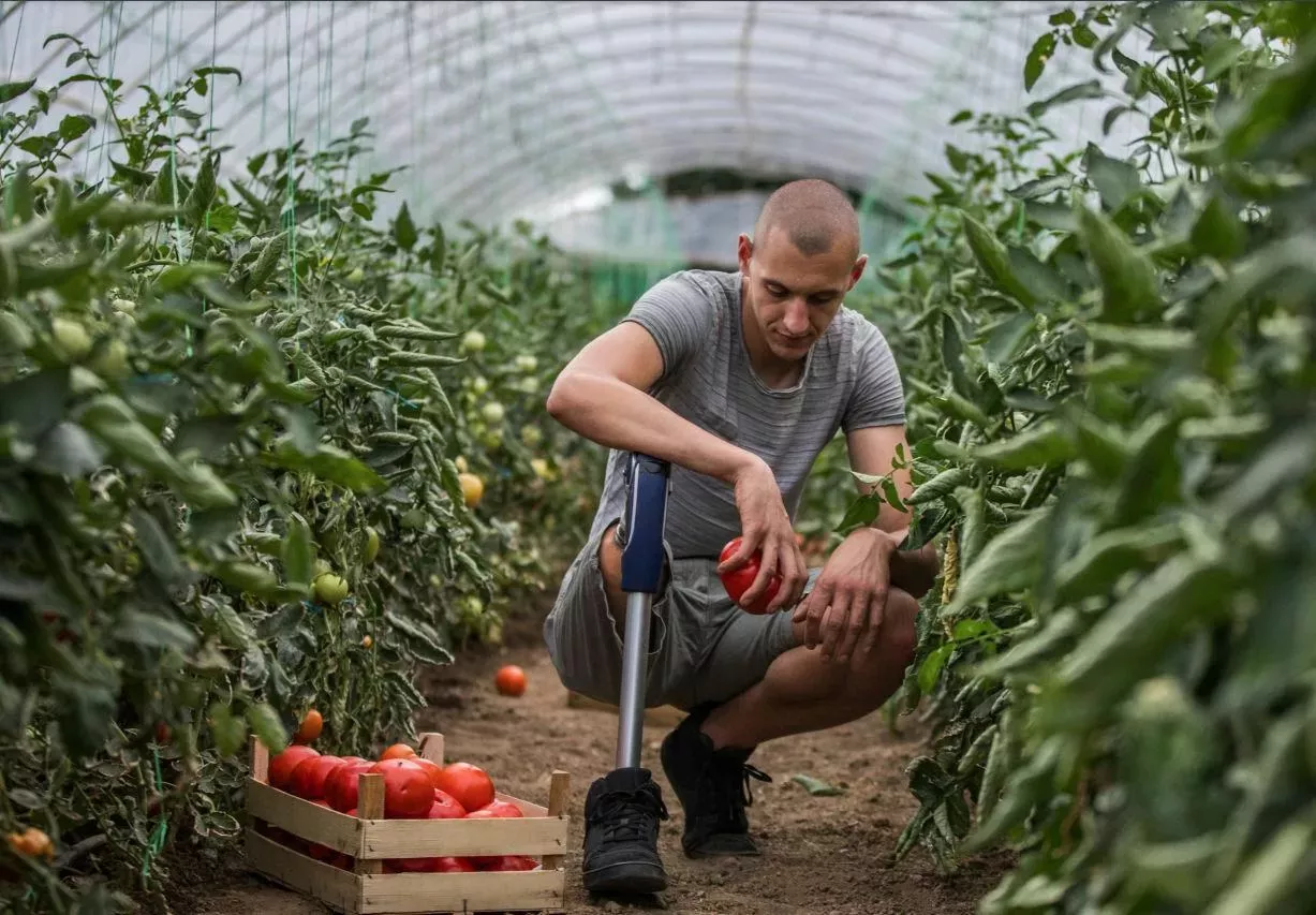 Dnevnik o projektu Vključen svet