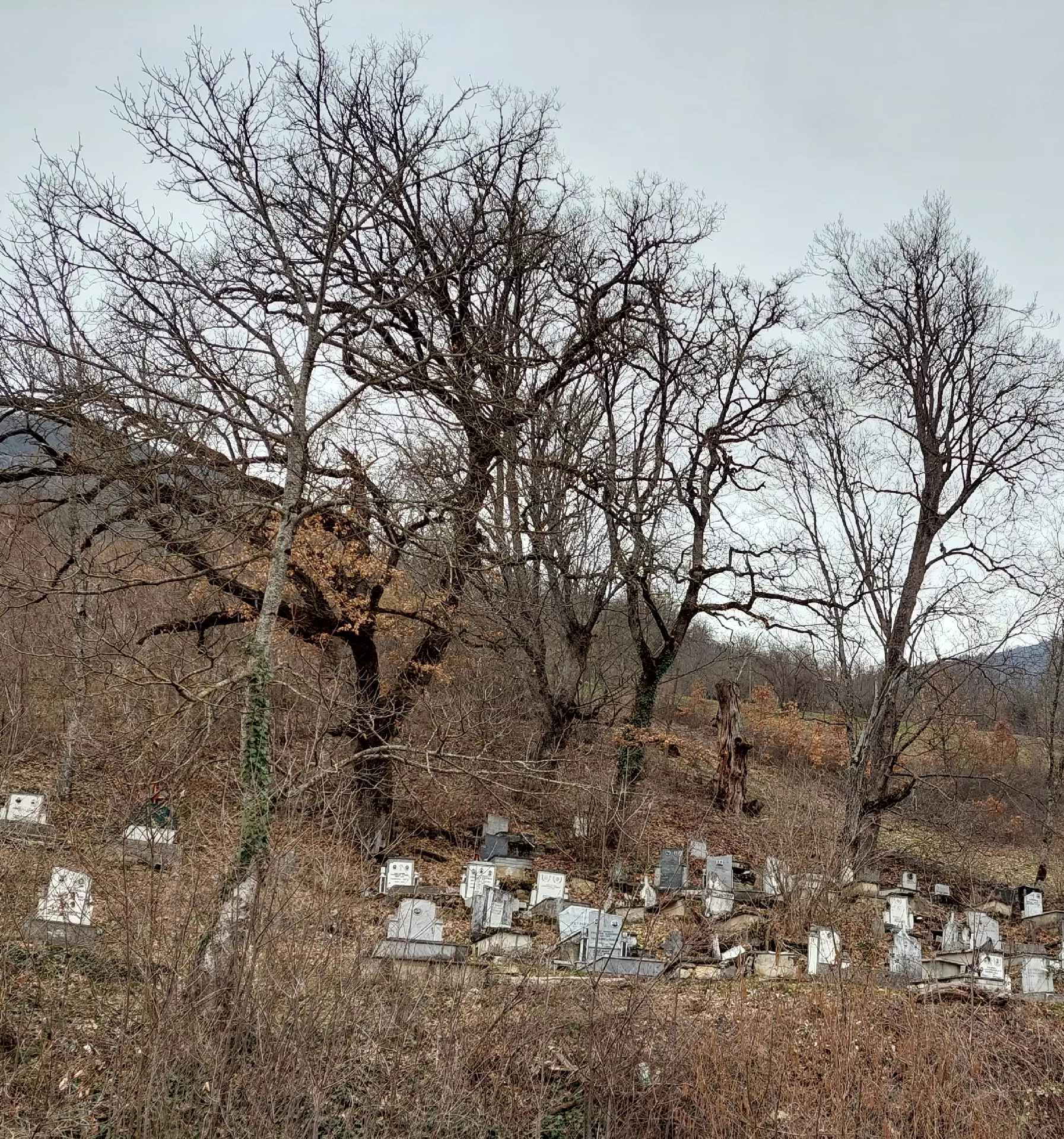 Ne govorimo o palačinki