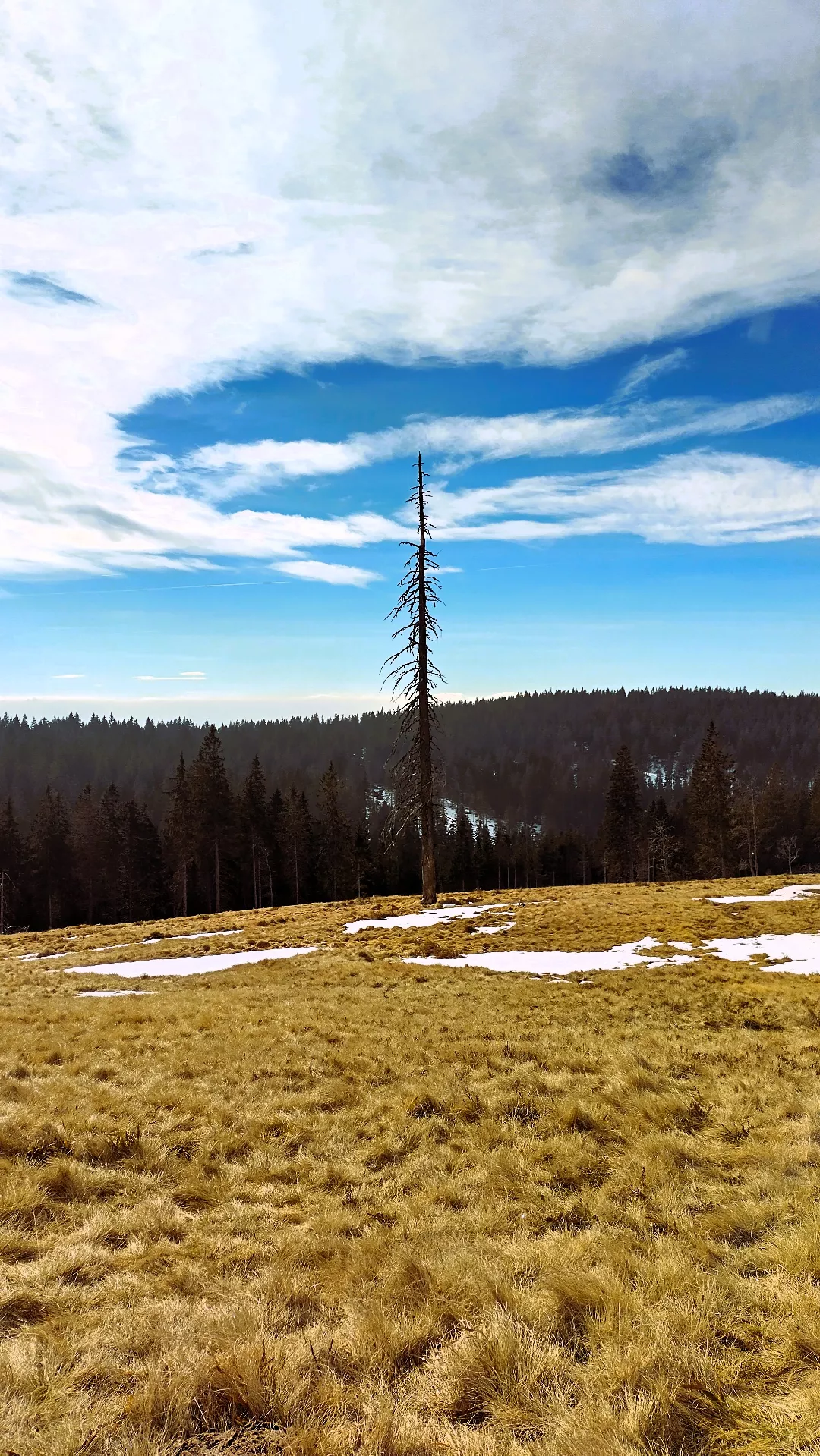 Obdobje norcev in distopična prihodnost