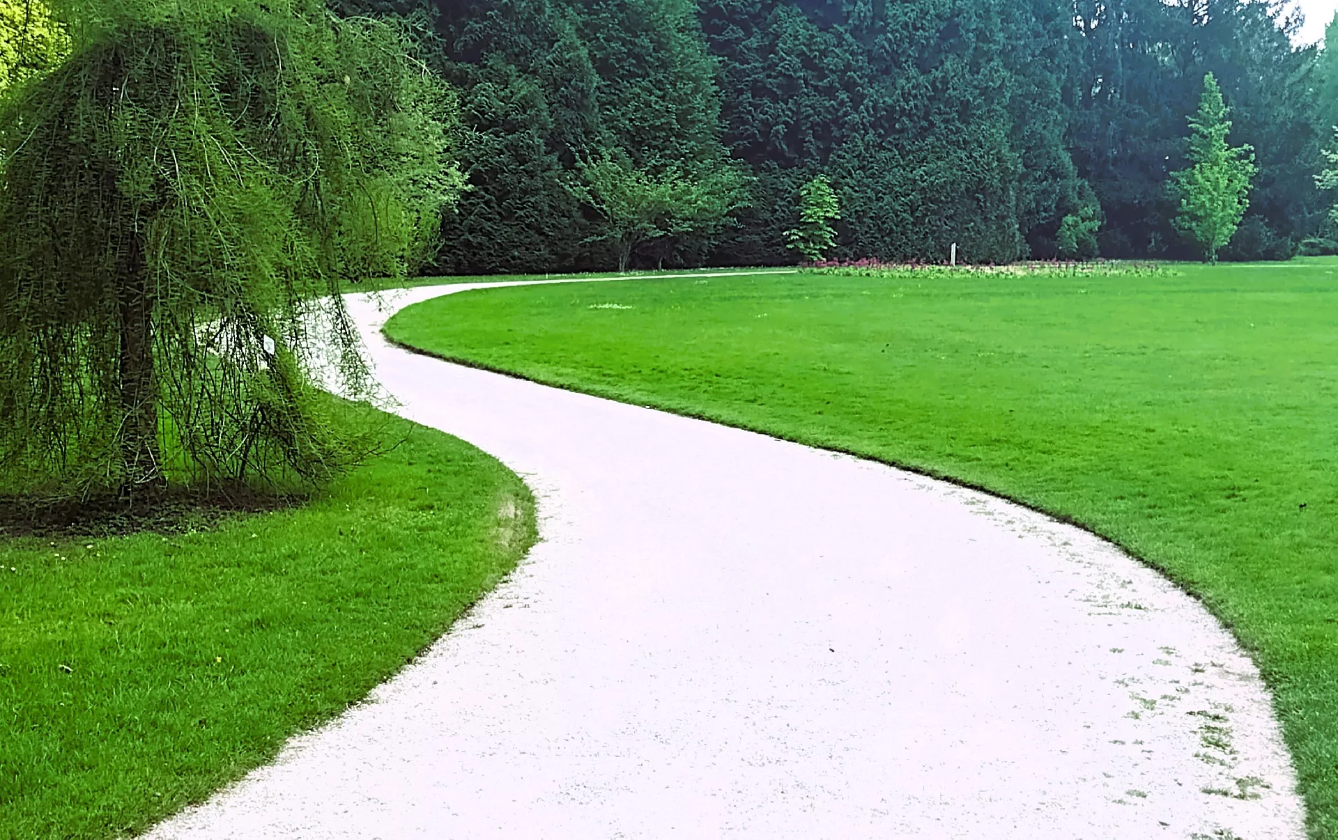 Ohranjanje reda in kolektivna etika