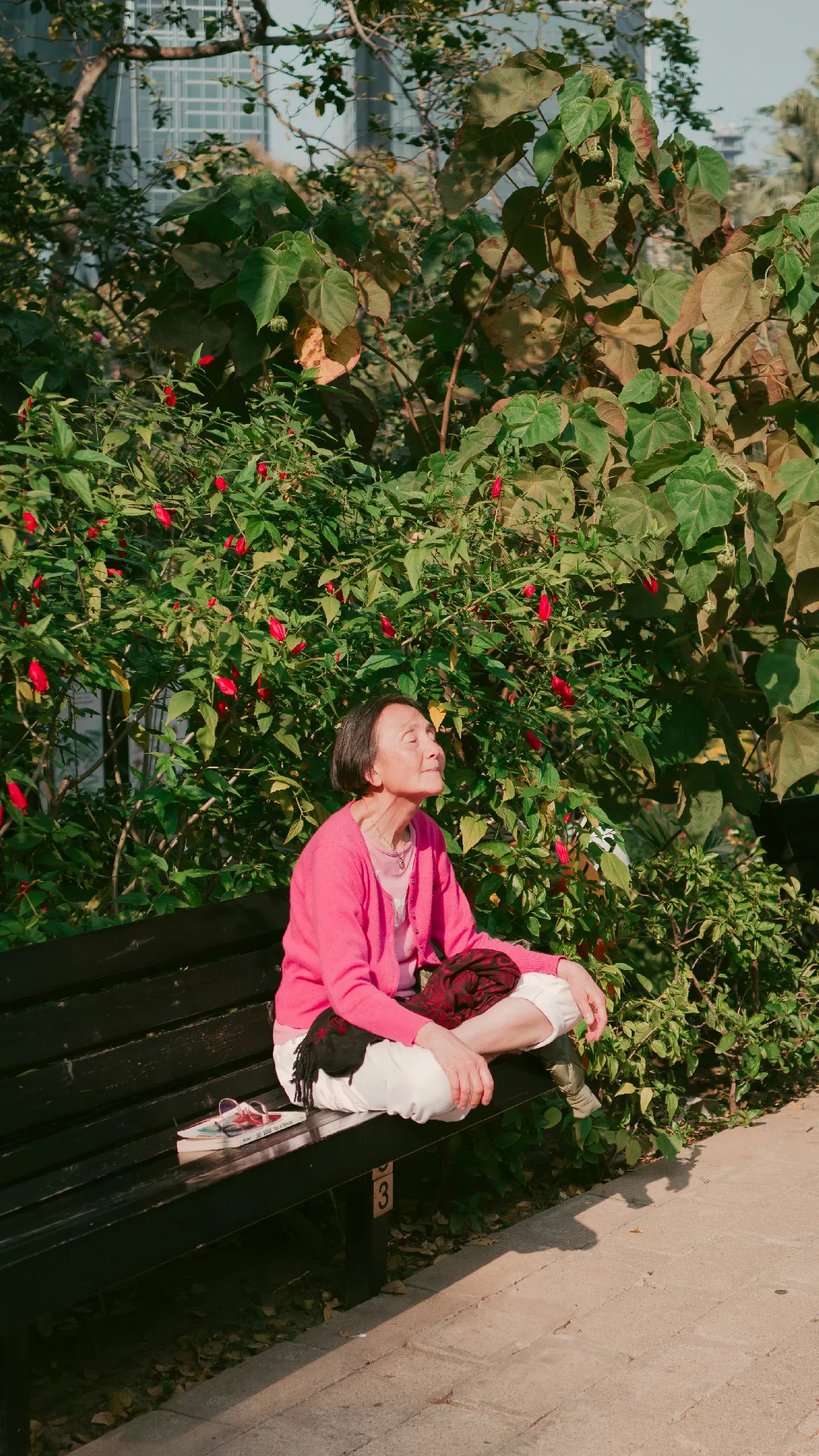 Antigona in Gandi v 21. stoletju