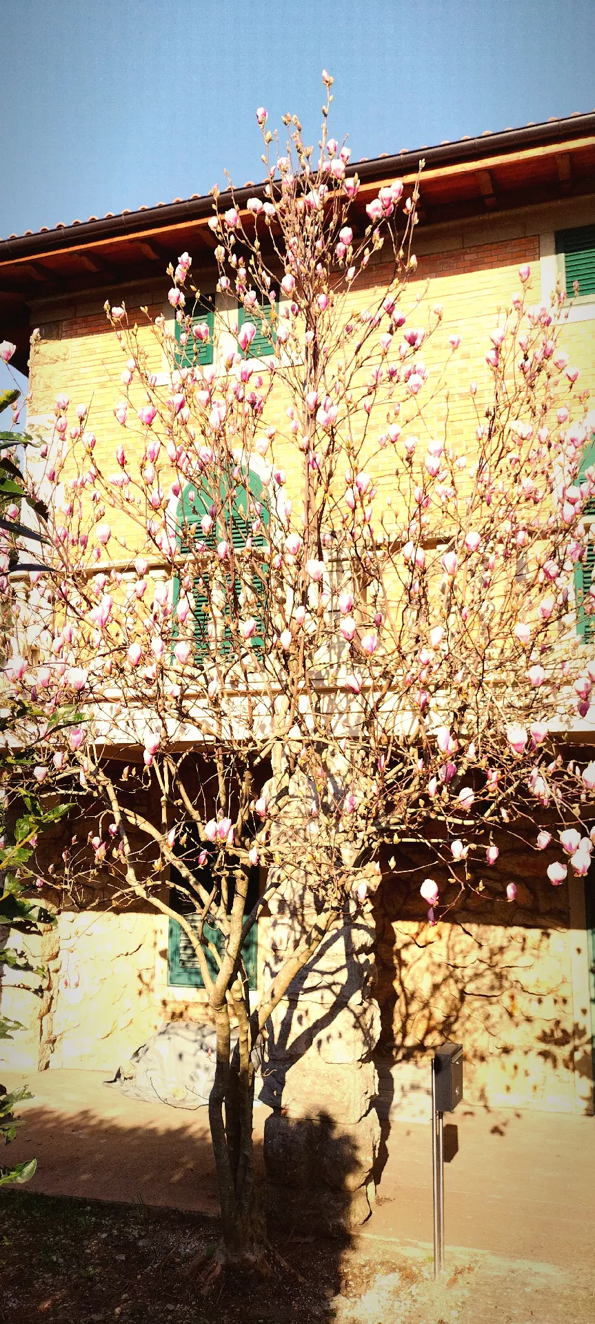 Invalidnost nas povezuje 