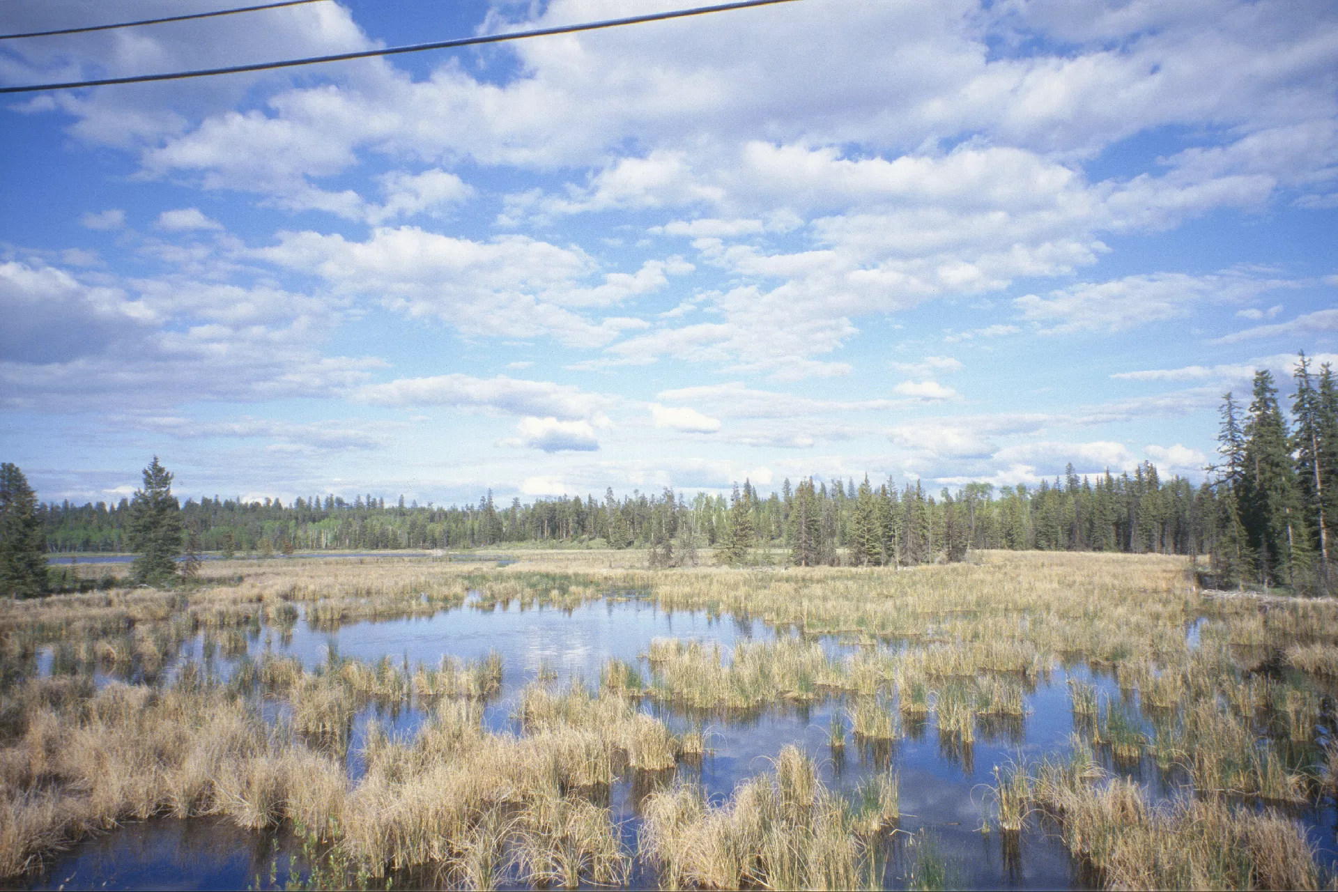 Božji načrt ne obstaja