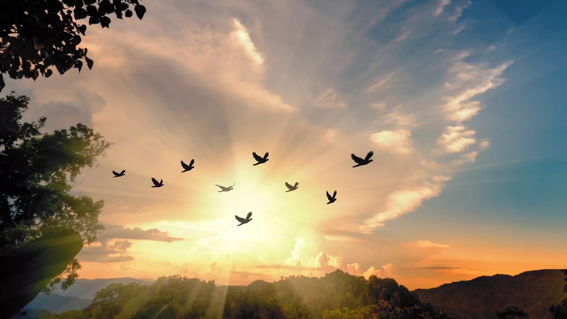 Prazni urniki, polni dnevi