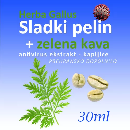 SLADKI PELIN + ZELENA KAVA - 4