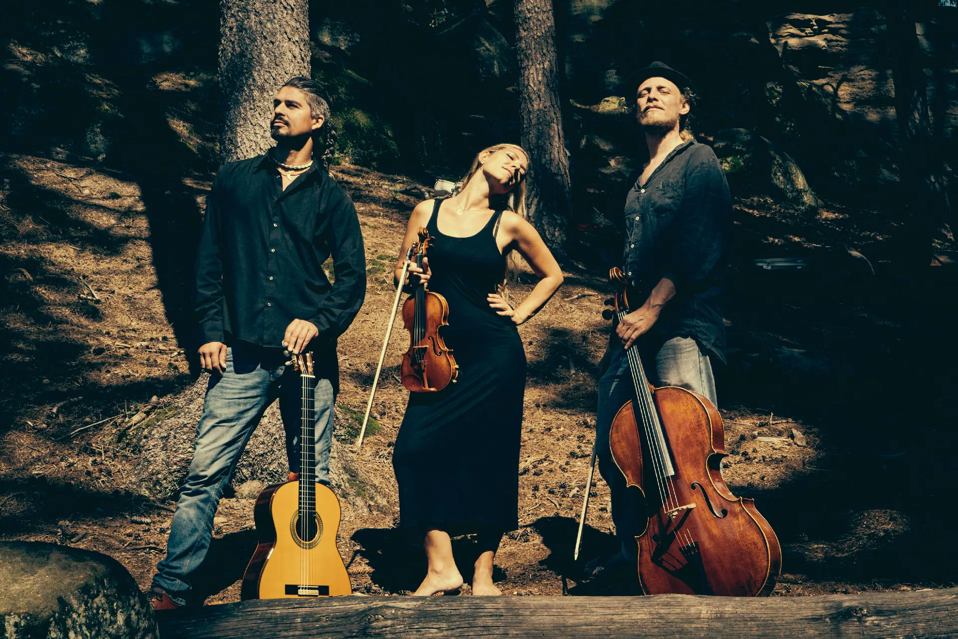 SOZVOČJA SVETA: Wild strings trio