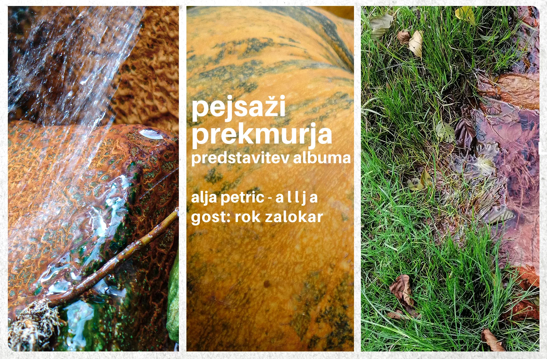 SOZVOČJA SVETA: PEJSAŽI PREKMURJA – predstavitev albuma Alje Petric