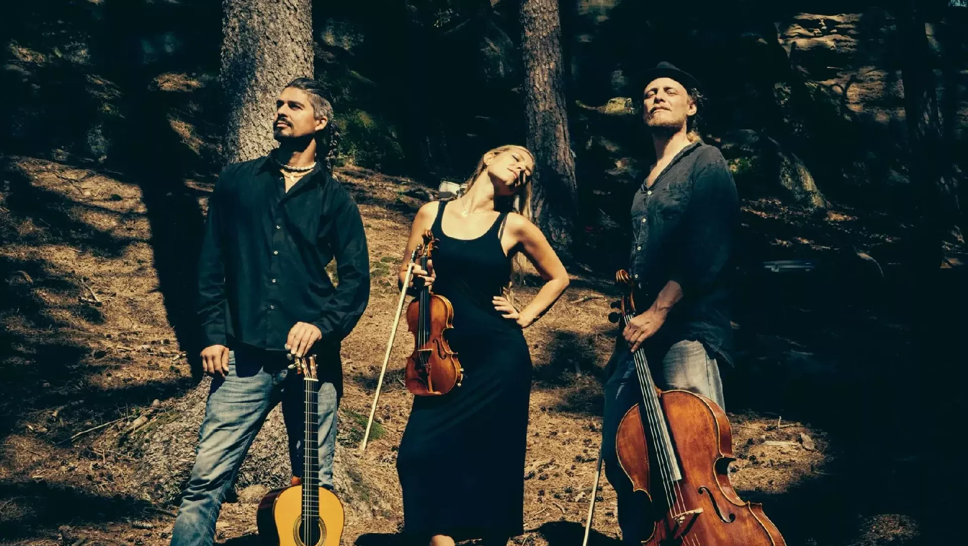 SOZVOČJA SVETA: Wild strings trio