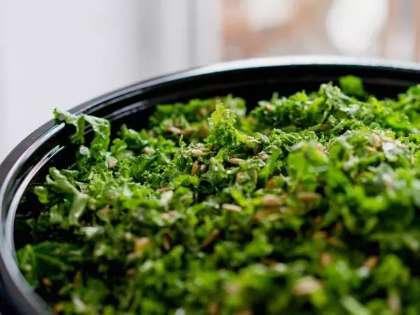 Zaklad narave skrit v ohrovtu