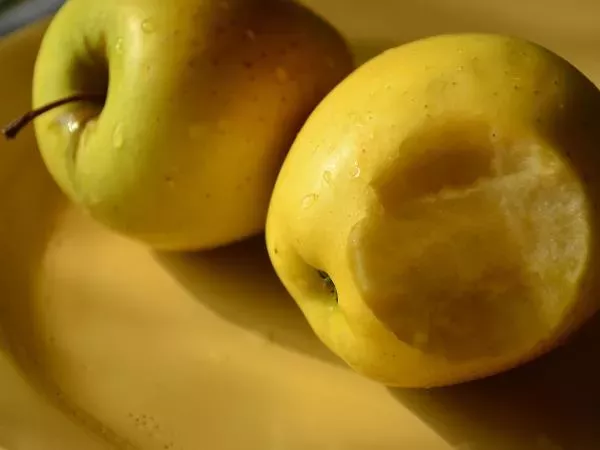 Nenavadna genetska koda jabolka Golden Delicious